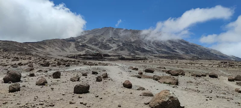 Walking Lovers Korzeniowscy na Kilimandżaro-3