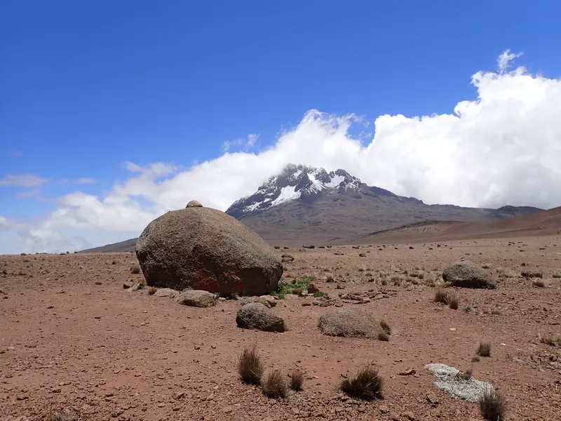Walking Lovers Korzeniowscy na Kilimandżaro-12